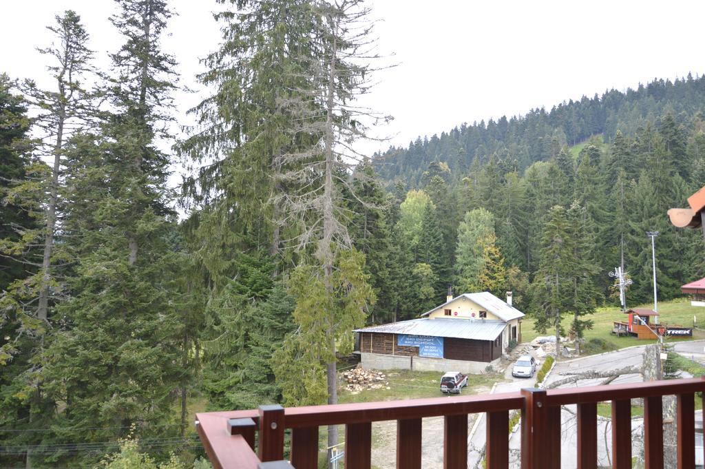 Persey Flora Apartments Borowec Zewnętrze zdjęcie