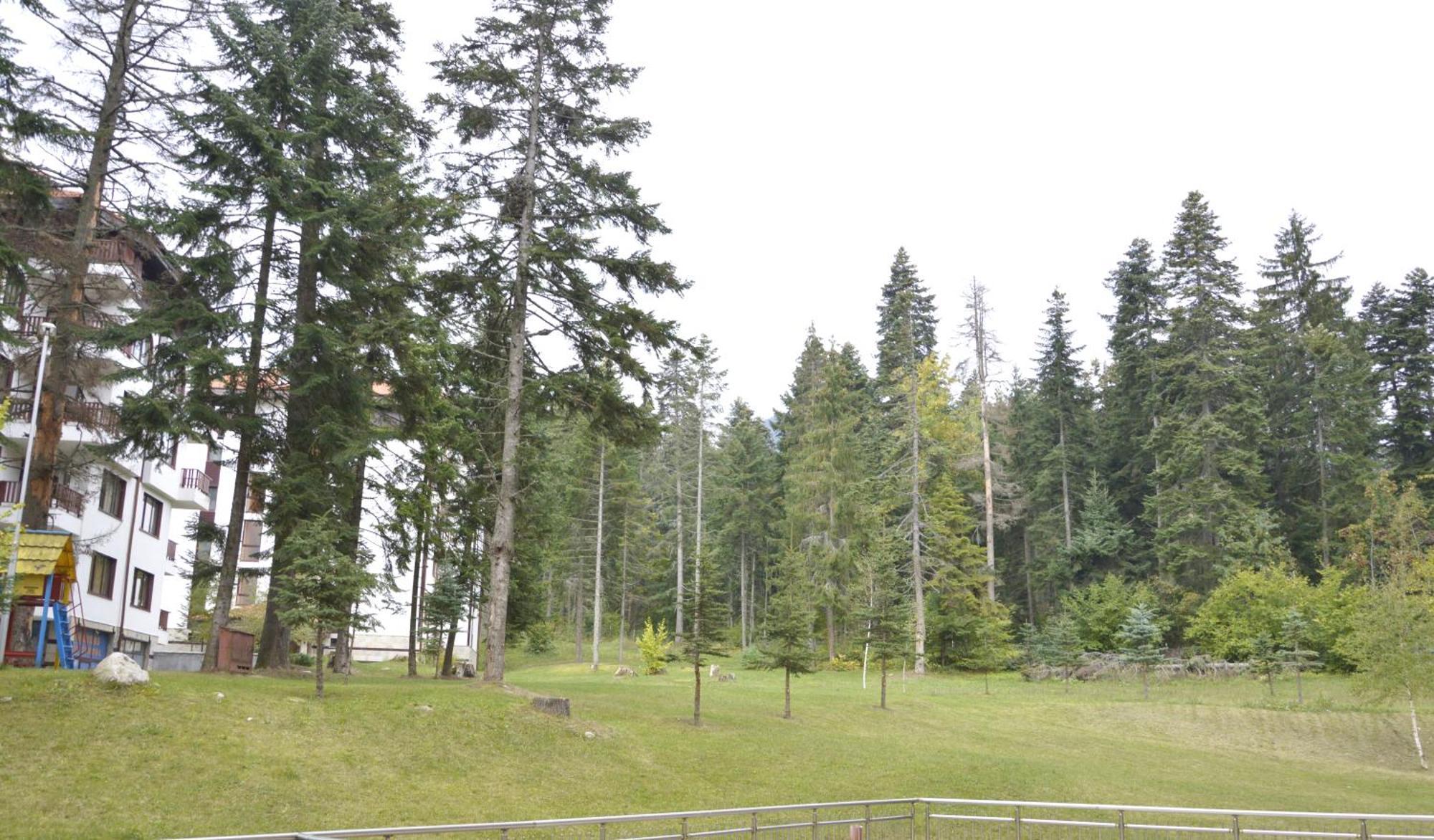 Persey Flora Apartments Borowec Zewnętrze zdjęcie